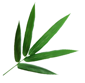 寧国昆台竹木材有限公司